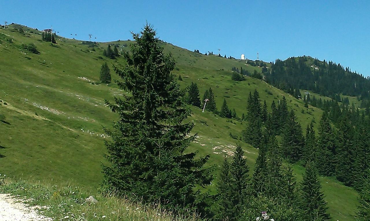 Apartmani Marija Jahorina Exterior photo